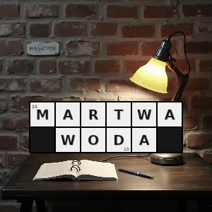 Hasło krzyżówkowe akwen w którym fale wewnętrzne uniemożliwiają ruch jednostkom pływającym - martwa woda – rozwiązanie, synonimy, podpowiedzi i definicje krzyżówkowe